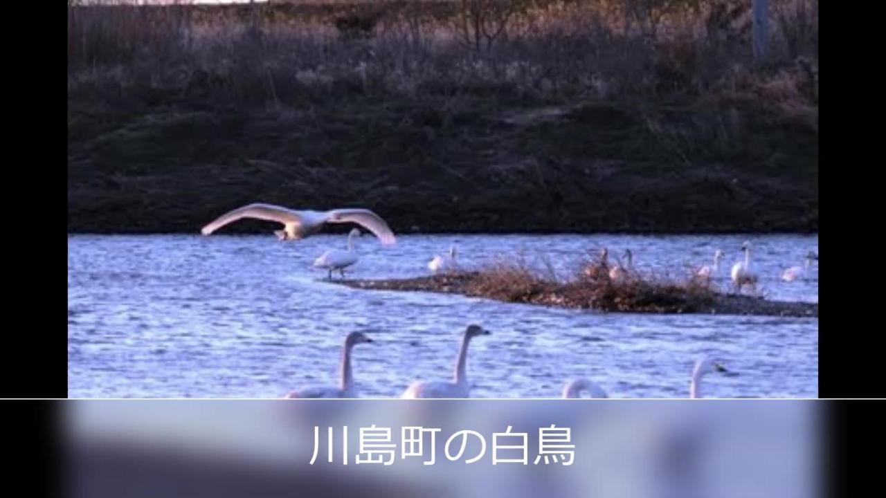 Le Ciel Spa & Resort (Adults Only) Tsurugashima المظهر الخارجي الصورة